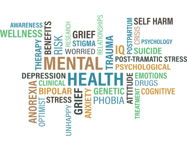 Mental Health & Wellbeing Plan Discussion Paper